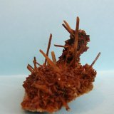 Yeso
9,5 x 6 cm
(Autor: Pedro Conesa)