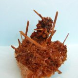 Yeso
9,5 x 6 cm
(Autor: Pedro Conesa)