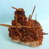 Yeso
9,5 x 6 cm
(Autor: Pedro Conesa)