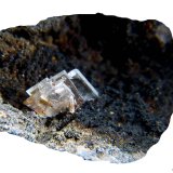 Barita.
25x18 mm.
(Autor: Jesus Franquesa Baucells)
