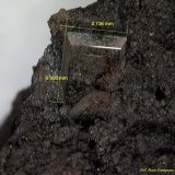 Barita.
0´90 x 0´73 mm.
(Autor: Jesus Franquesa Baucells)