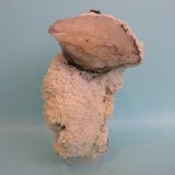 Baritina
11 x 6,5 cm
(Autor: Pedro Conesa)