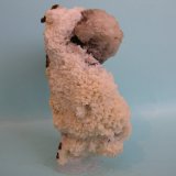 Baritina
11 x 6,5 cm
(Autor: Pedro Conesa)