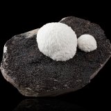Barita, Esfalerita
23 x 16.5 x 9 cm
(Autor: Museo MIM)