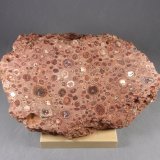 bauxita
17,5 x 12,3 x 6,4 cm.  1.415 g.
(Autor: J. G. Alcolea)