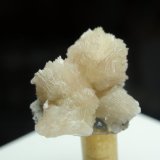 Bavenita
15x15 mm
(Autor: Ignacio)