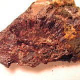 Beraunita
Pieza de 3x2 cm.
(Autor: Adrian Pesudo)