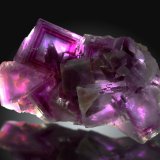 Fluorita
16x9cm, cristales hasta 5cm de arista
(Autor: Raul Vancouver)