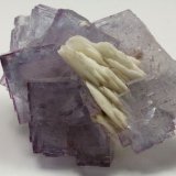 Fluorita, Barita
7x5cm, cristales hasta 25mm de arista
(Autor: Raul Vancouver)