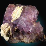 Fluorita, Barita
18x15cm, cristales hasta 3cm
(Autor: Raul Vancouver)