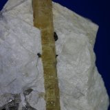 Berilo (variedad heliodoro)
cristal 6x48mm
(Autor: Ramon A  Lopez Garcia)