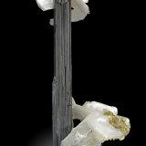Bertrandita
6.5 x 5 x 13.5 cm / cristal principal: 3.7 cm
(Autor: Museo MIM)