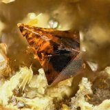 Bismutita
2 mm
(Autor: Borja Sainz de Baranda)