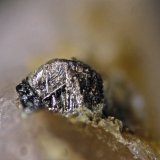 Bismuto
Cristal 2 mm
(Autor: Cesar M. Salvan)