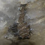 Bismuto
Campo de visión de 5 mm
(Autor: Antonio Carmona)