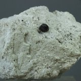 Bixbyita
50x40x30 mm
(Autor: Juan Espino)