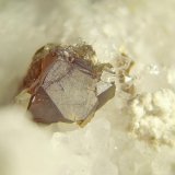 Esfalerita, Hidrocincita
Encuadre unos 3 mm.
(Autor: Anonymous)