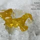 Esfalerita
3 mm
(Autor: Antonio Abril)