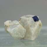 Boleita
07x08 mm
(Autor: Juan Espino)