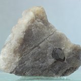 Boracita
26x24 mm
(Autor: Juan Espino)