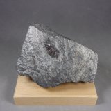 Boulangerita
7,7 x 5,6 x 3 cm.
(Autor: J. G. Alcolea)