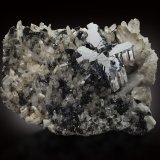 Bournonita con Cuarzo, Esfalerita y Fluorita
22 x 26 x 13 cm / Cristal principal: 12.5 cm
(Autor: Museo MIM)