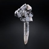 Bournonita en Cuarzo
5.5 x 6 x 13.5 cm / cristal principal: 5.5 cm
(Autor: Museo MIM)