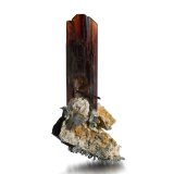 Brookita
6 x 3 x 12 cm / cristal principal: 8 cm
(Autor: Museo MIM)