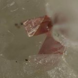 Adamita (variedad adamita cobaltífera)
Cristal de 2 mm.
(Autor: Antonio Carmona)