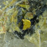 Oro
Campo de visión de 2 mm
(Autor: Antonio Carmona)
