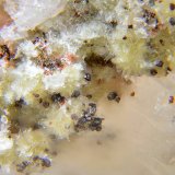 Kettnerita y Descloizita
Campo de visión de 2 mm
(Autor: Antonio Carmona)