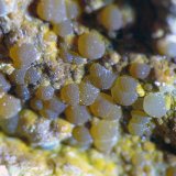 Cacoxeno
Encuadre 6 mm
(Autor: Javier MC)
