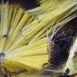 Cacoxenita
Campo de visión 2,2 mm.
(Autor: Juan Miguel)