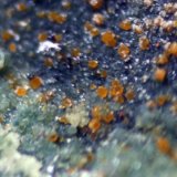 Cacoxeno
Encuadre de 5 mm
(Autor: usoz)