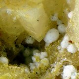 Brassita sobre Dolomita
Campo de visión de 3 mm.
(Autor: Antonio Carmona)