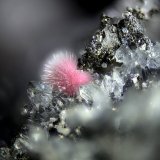 Hörnesita
Campo de visión de 2 mm.
(Autor: Antonio Carmona)