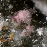 Hörnesita
Campo de visión de 3 mm.
(Autor: Antonio Carmona)