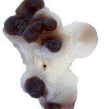 Cuarzo (variedad calcedonia)
88 x 60 x 33 mm.
(Autor: José Luis Zamora)
