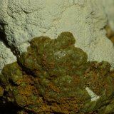 Tinticita, Calcioferrita
6 x 5 mm
(Autor: Javier Rodriguez)
