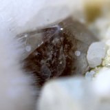 Calcita
10 x 8 mm.
(Autor: José Luis Zamora)