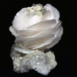 Calcita
Rosa 25x25 mm
(Autor: Ramon A  Lopez Garcia)