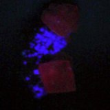 Calcita y Fluorita.
39x24 mm.
(Autor: Jesus Franquesa Baucells)