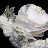 Calcita
Rosa 25x25 mm
(Autor: Ramon A  Lopez Garcia)