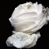 Calcita
Rosa 25x25 mm
(Autor: Ramon A  Lopez Garcia)