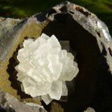 Calcita
9 x 7 cm
(Autor: nerofis2)