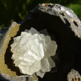 Calcita
9 x 7 cm
(Autor: nerofis2)
