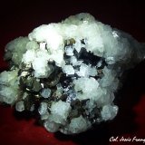 Calcita [Calcite], Esfalerita [Sphalerite] y Pirita [Pyrite].
90x90 mm.
(Autor: Jesus Franquesa Baucells)