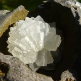 Calcita
9 x 7 cm
(Autor: nerofis2)