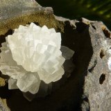 Calcita
9 x 7 cm
(Autor: nerofis2)