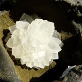 Calcita
9 x 7 cm
(Autor: nerofis2)